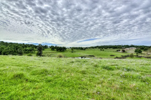 a view of a green field with lots of green space