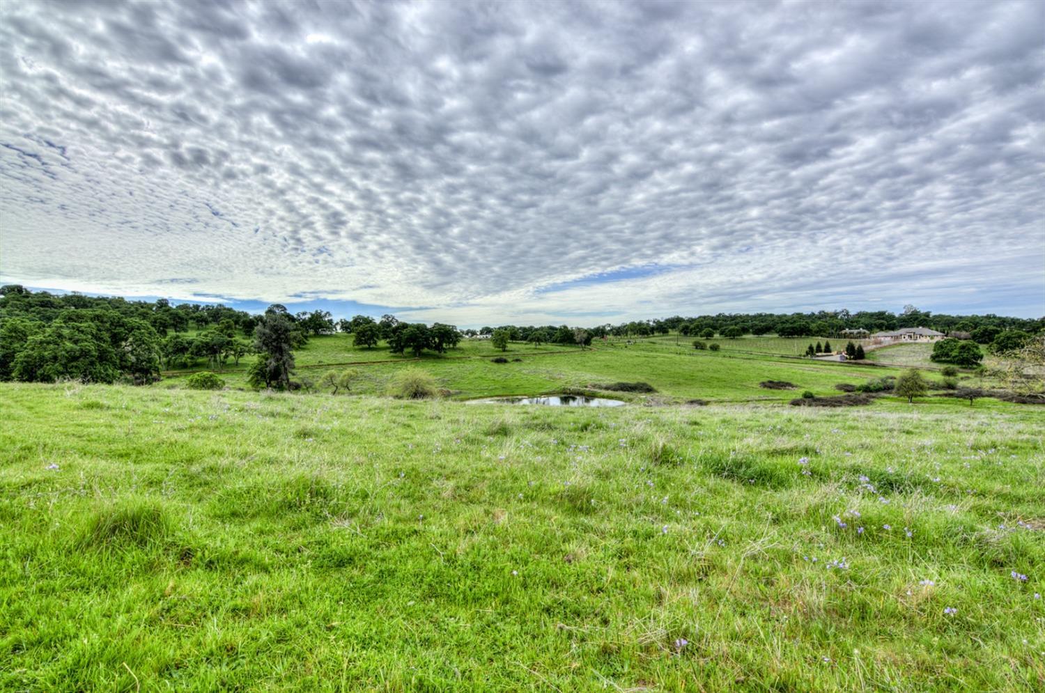 7740 North Forbes Road Lincoln, CA 95648 - Photo 2 of 13 a view of a green field with lots of green space
