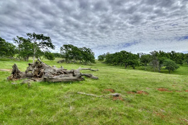 a view of a yard with an outdoor space