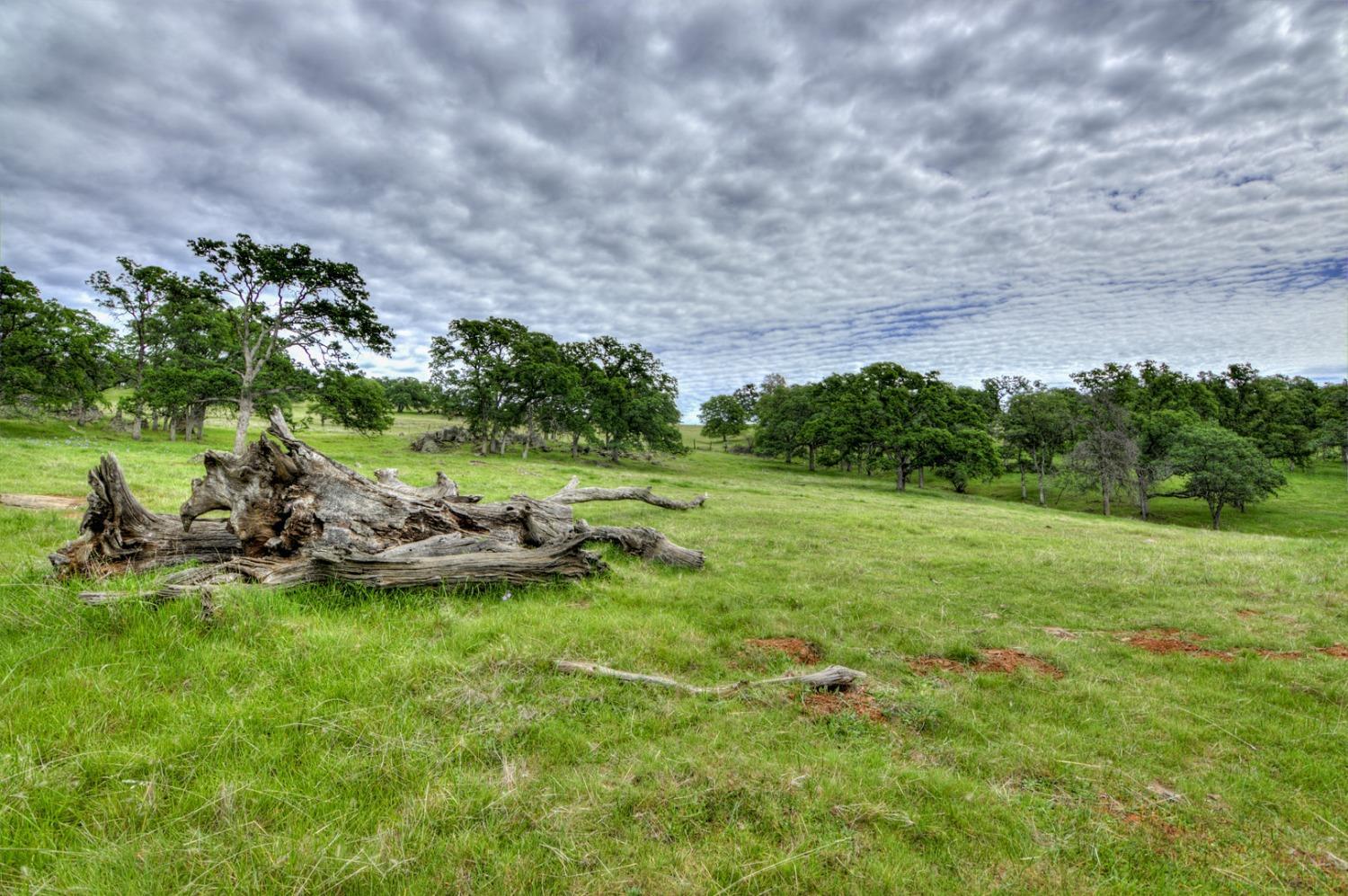 7740 North Forbes Road Lincoln, CA 95648 - Photo 4 of 13 a view of a yard with an outdoor space