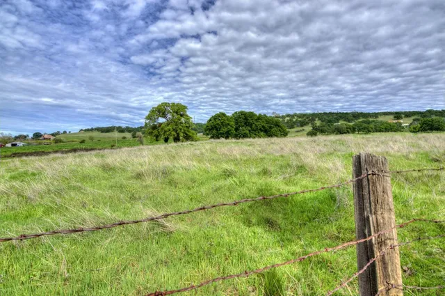 a view of a lush green field