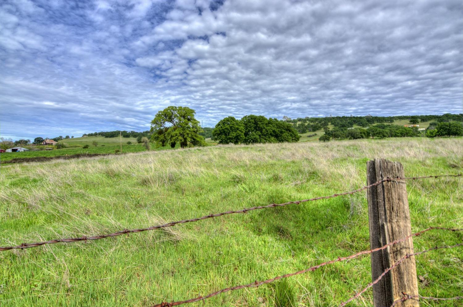 7740 North Forbes Road Lincoln, CA 95648 - Photo 7 of 13 a view of a lush green field