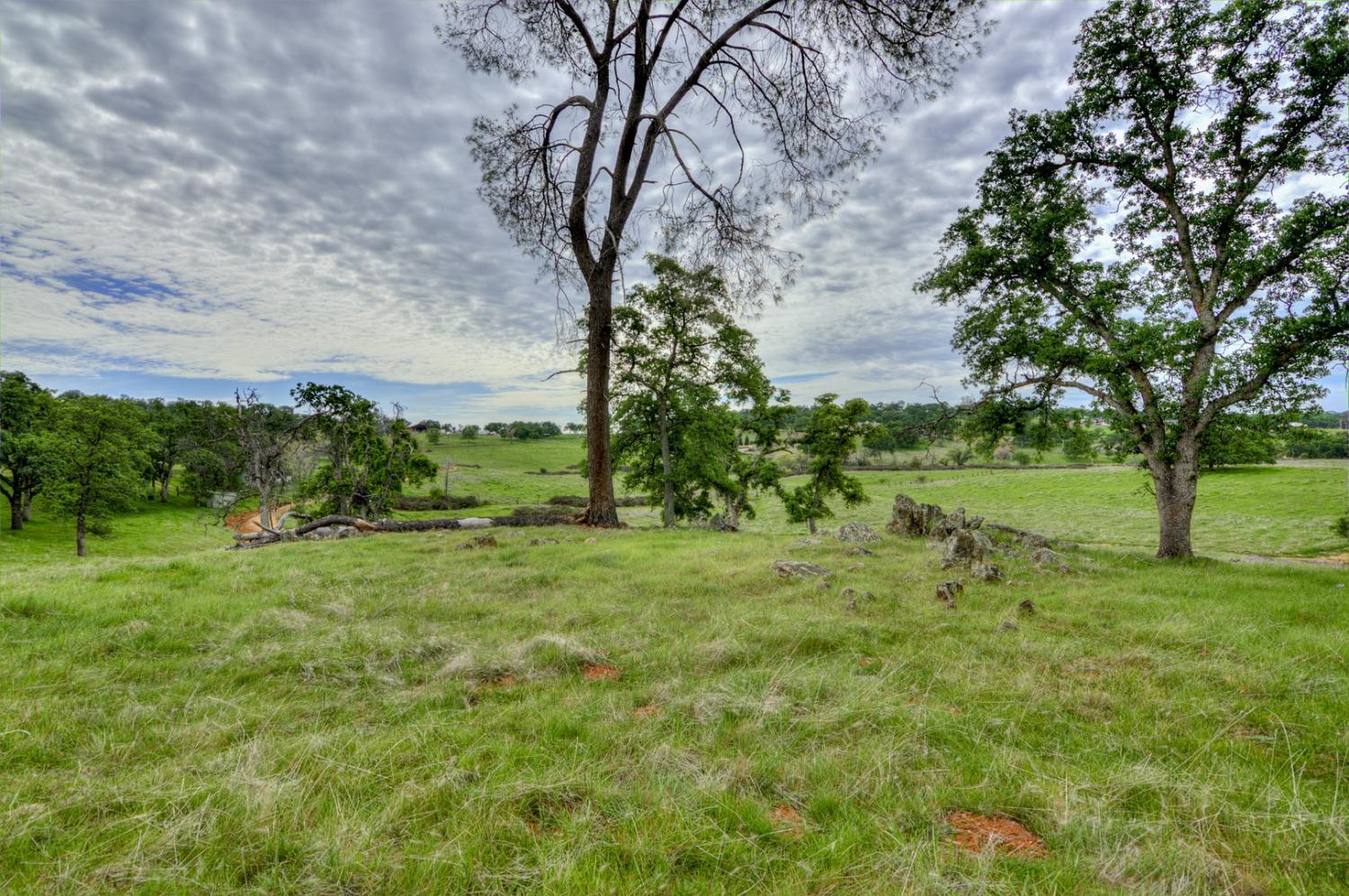 7740 North Forbes Road Lincoln, CA 95648 - Photo 9 of 13 a view of an outdoor space with a lake view