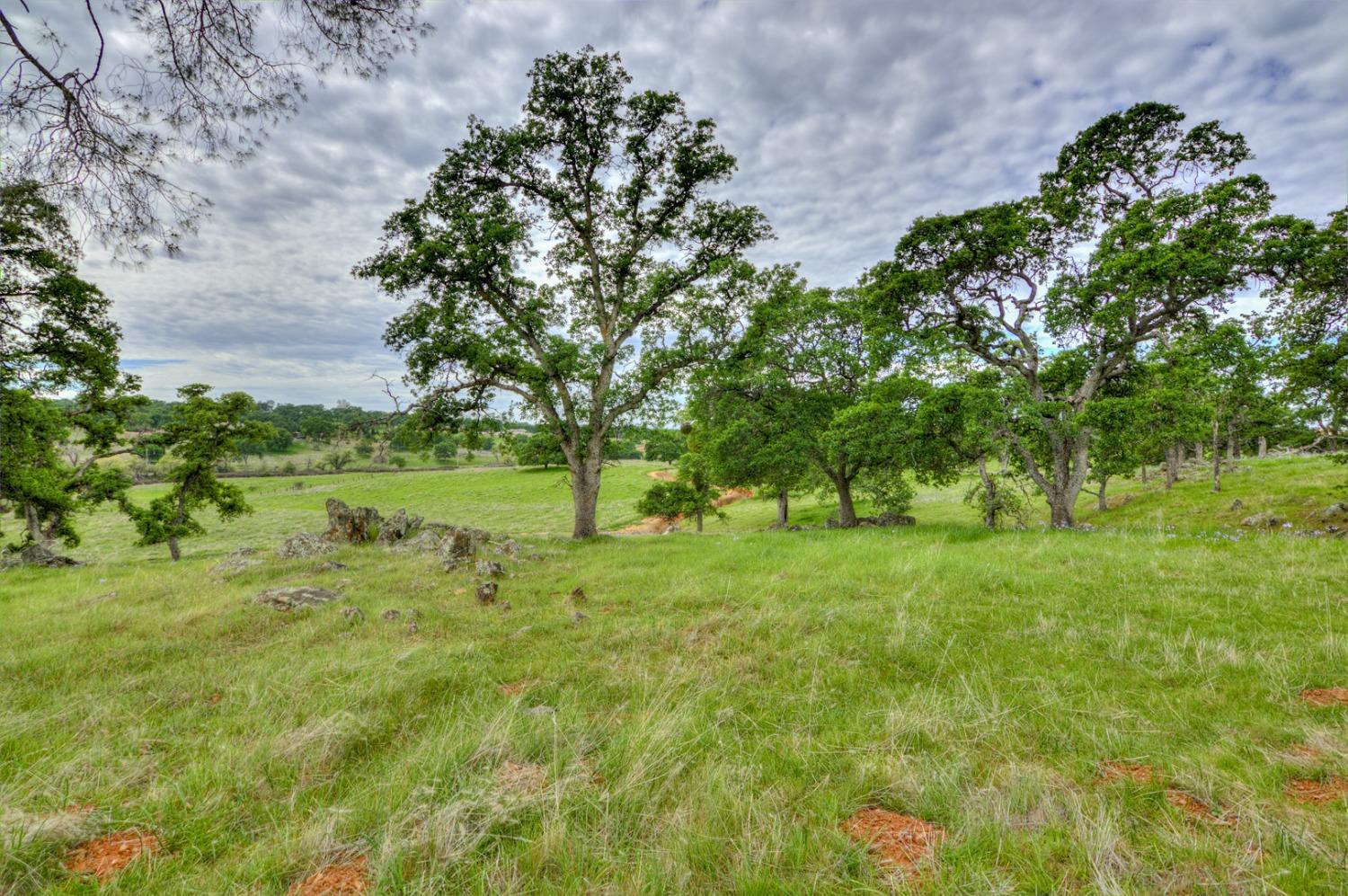 7740 North Forbes Road Lincoln, CA 95648 - Photo 10 of 13 a view of an outdoor space with a lake view