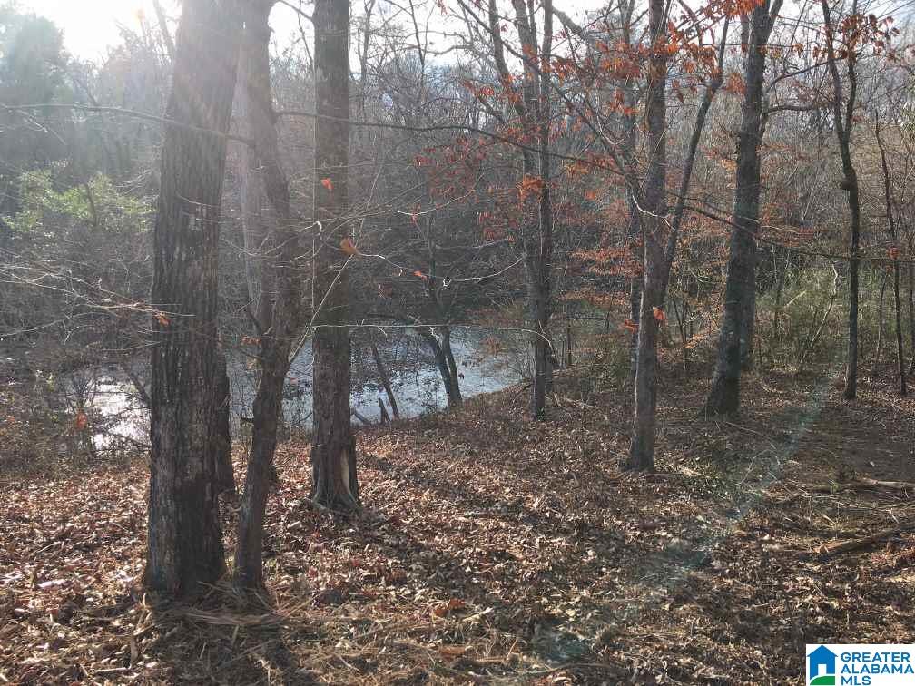 33 County Road, Unit 48 Oneonta, AL 35121 - Photo 28 of 33