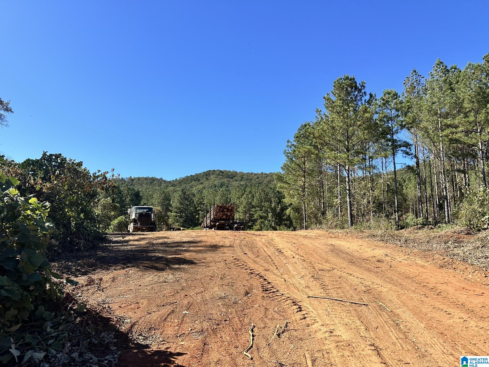 0 Rabbittown Road Piedmont, AL 36272 - Photo 2 of 7