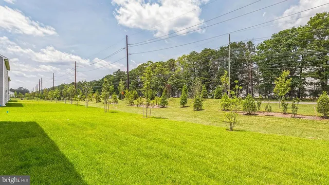 a view of yard and swimming pool