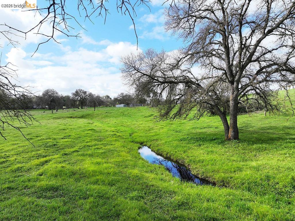 7550 Adams Road Valley Springs, CA 95252 - Photo 37 of 38 View of green lawn