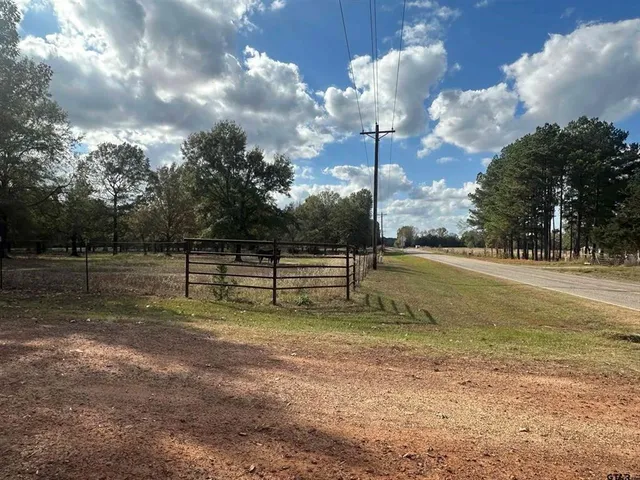 a view of a yard with trees in the background