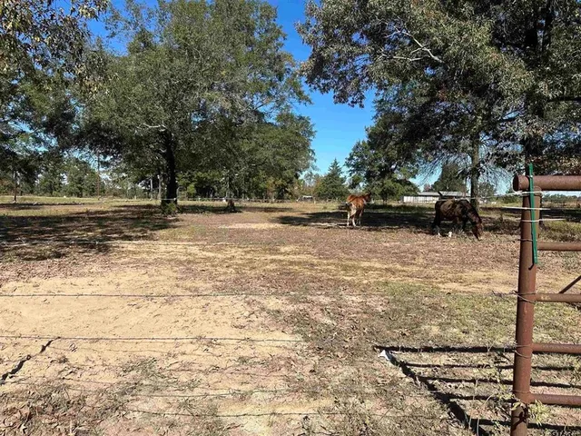 a living room with furniture a dining table and chairs with wooden floor