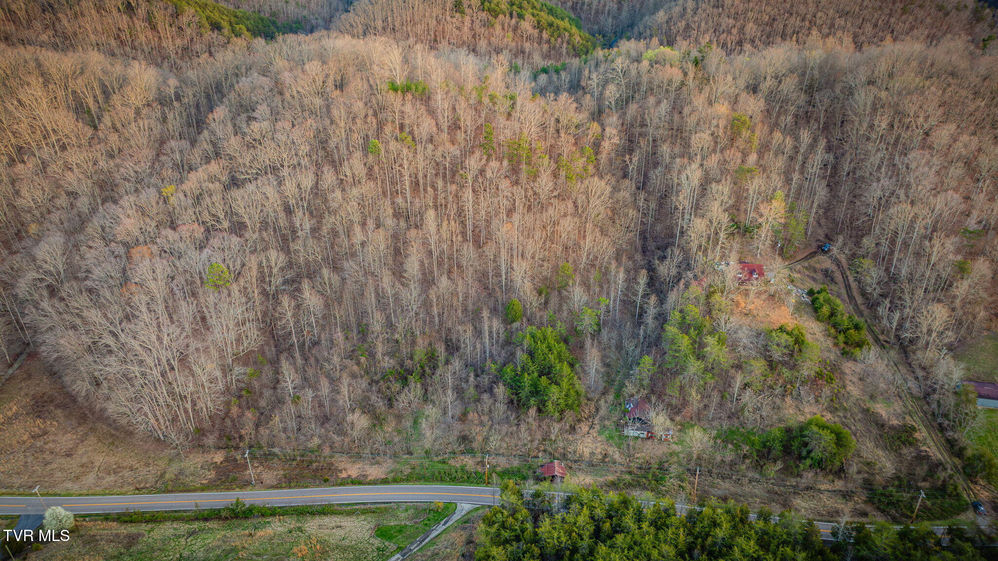0 Lone Star Road Kingsport, TN 37660 - Photo 8 of 8 201