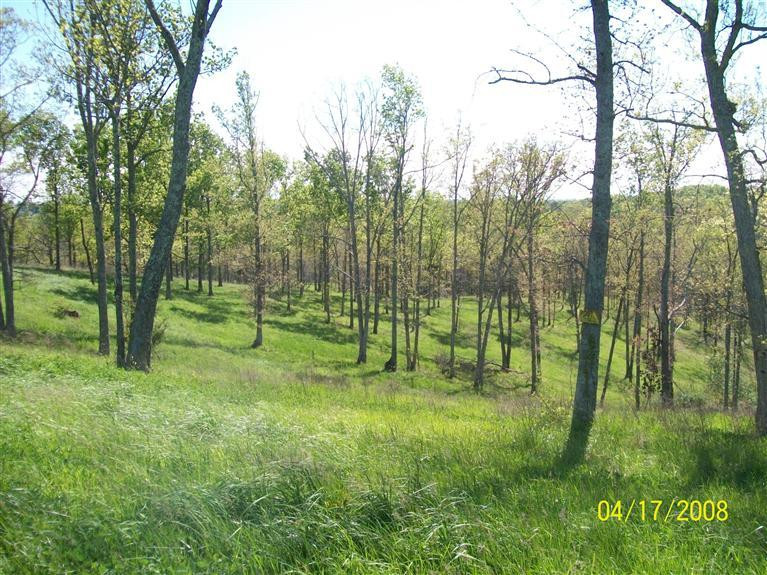 4 Ogden Ridge Road Mount Olivet, KY 41064 - Photo 21 of 21 Gallery Image 21