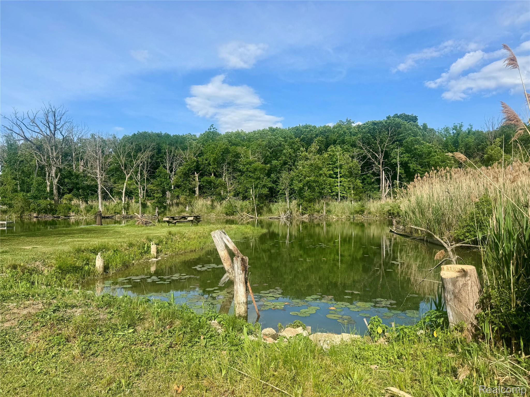 22827 Meridian Road Grosse Ile, MI 48138 - Photo 11 of 36 IMG_8343.jpeg