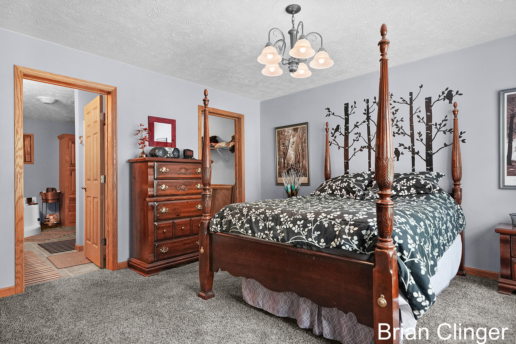5441 Crooked Crk Road Saranac, MI 48881 - Photo 21 of 49 _CR_9931