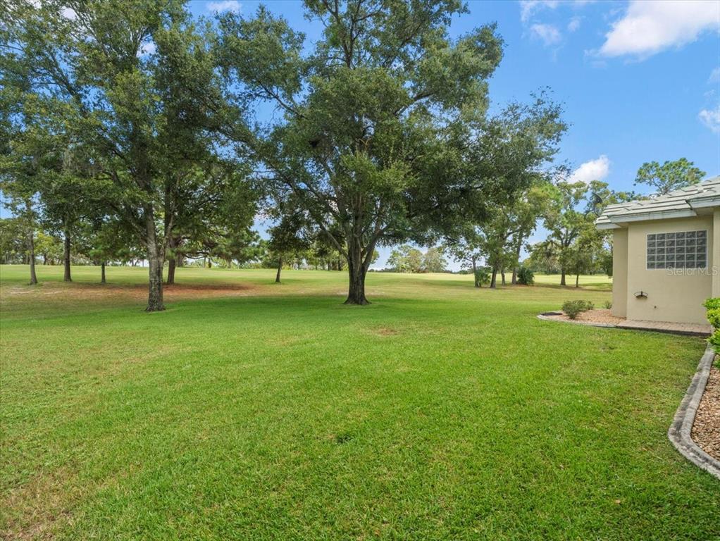 9037 Penelope Drive Weeki Wachee, FL 34613 - Photo 44 of 60 a view of yard with tree s
