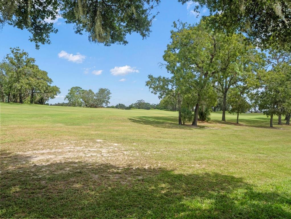9037 Penelope Drive Weeki Wachee, FL 34613 - Photo 47 of 60 a view of an ocean with a lake view