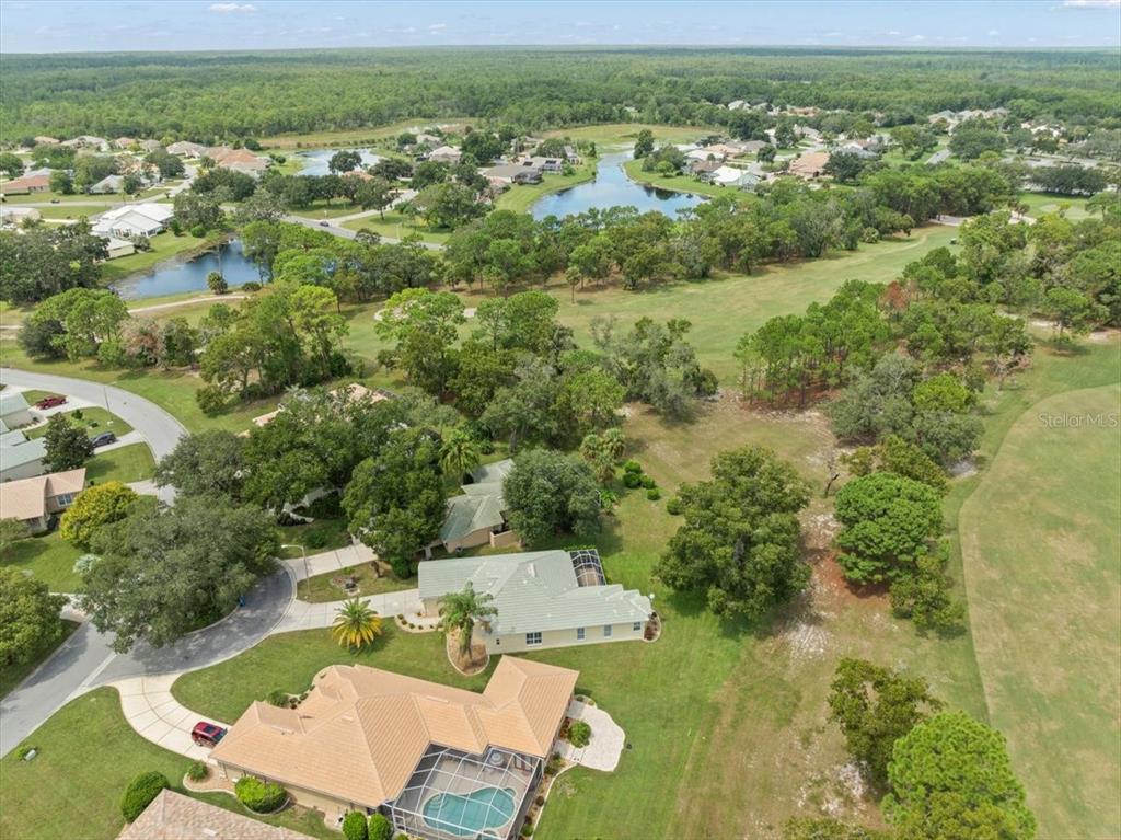 9037 Penelope Drive Weeki Wachee, FL 34613 - Photo 59 of 60 an aerial view of residential houses with outdoor space and trees