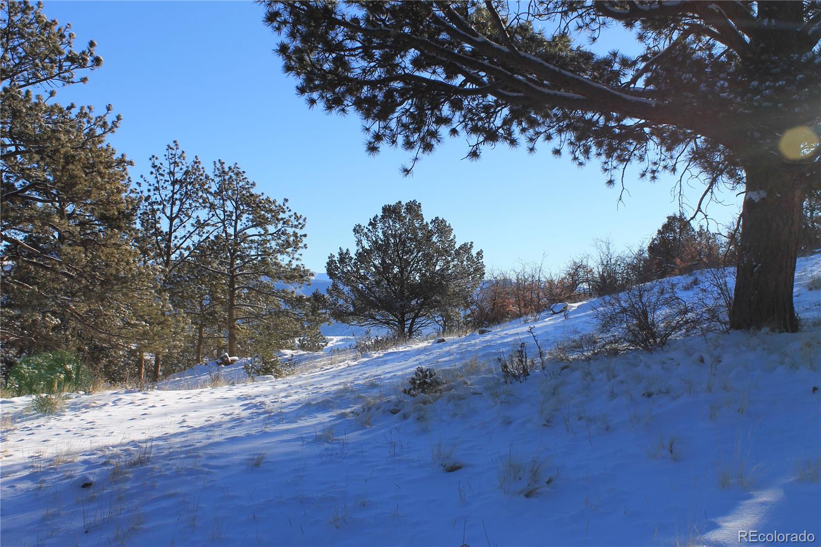 1305 Apache Road Florissant, CO 80816 - Photo 7 of 23 a view of a yard with wooden fence