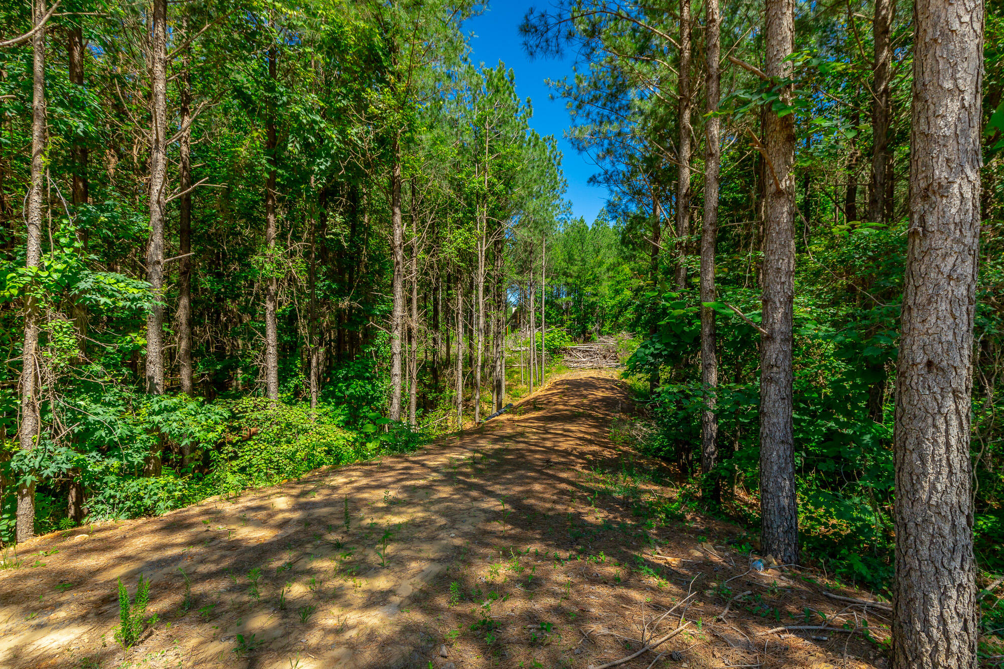 0 Split Rail Way, Unit LOT 1163 Guild, TN 37340 - Photo 3 of 118 River Gorge Lot 1163 HD-15