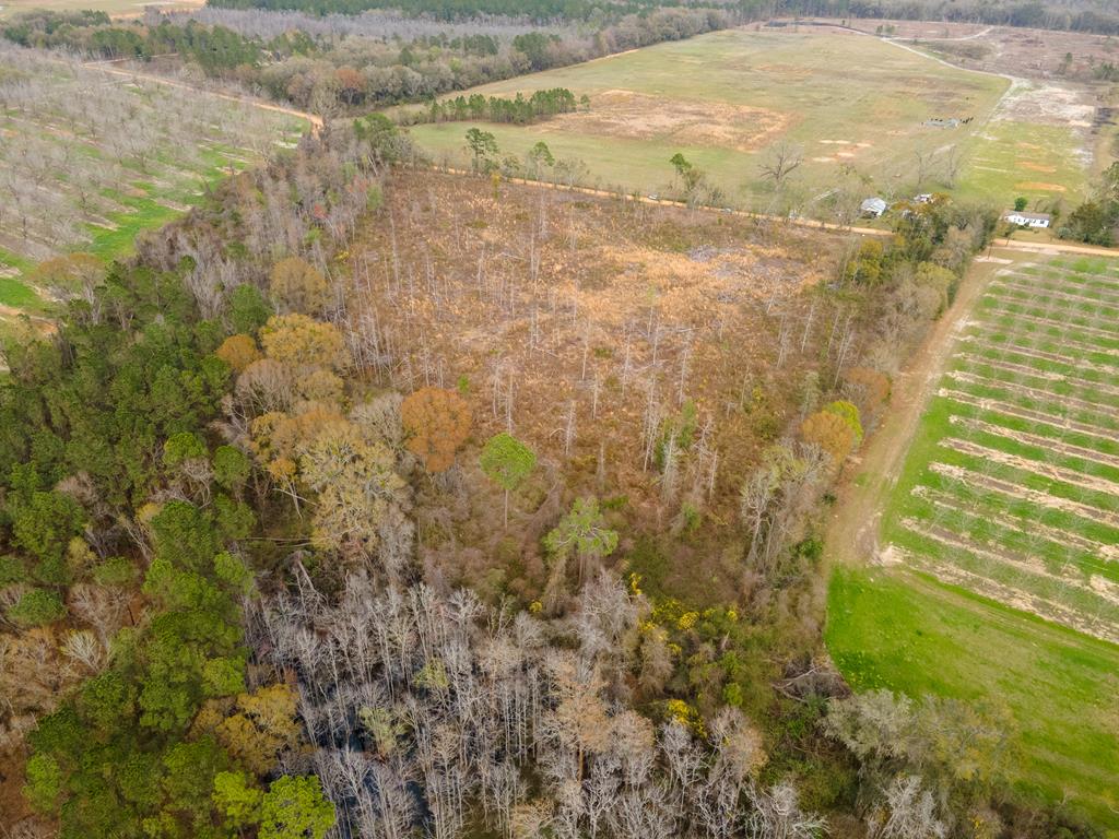22-acres Davis Road Southwest Valdosta, GA 31601 - Photo 7 of 12 Gallery Image 7