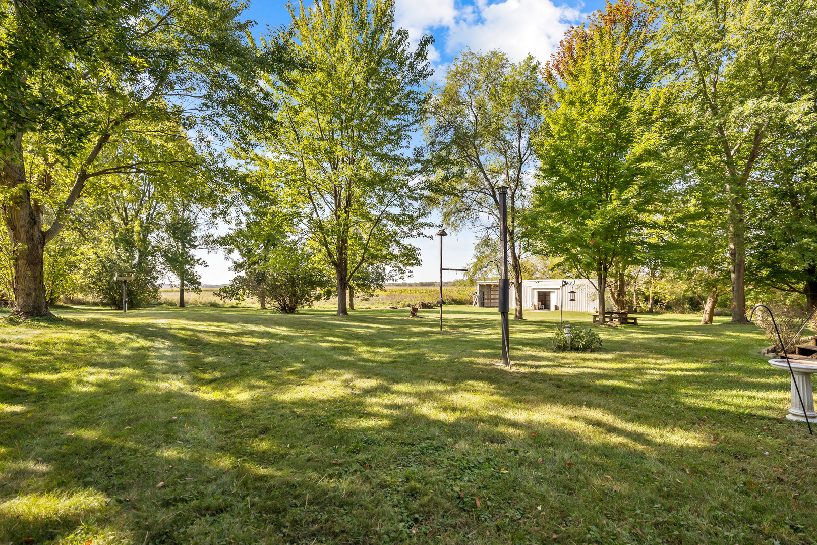 16200 Green Road Harvard, IL 60033 - Photo 25 of 30 a view of a trees in a yard