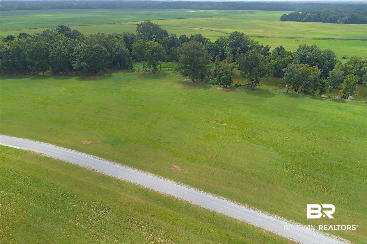 1 Jimmy Phillips Road Greensboro, AL 36744 - Photo 20 of 46
