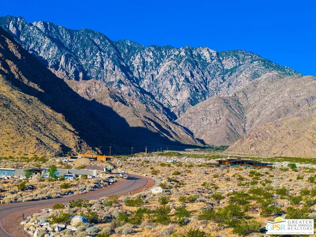 a view of a backyard with plants