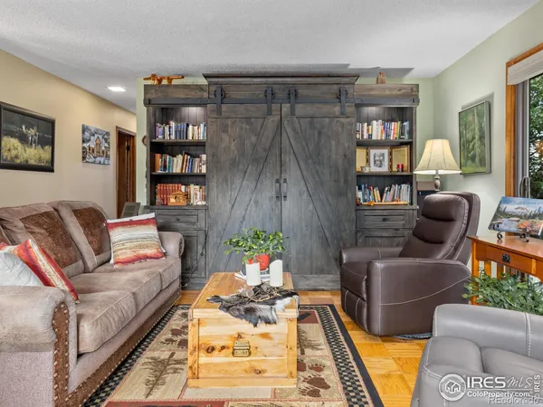 a living room with furniture a rug and a book shelf