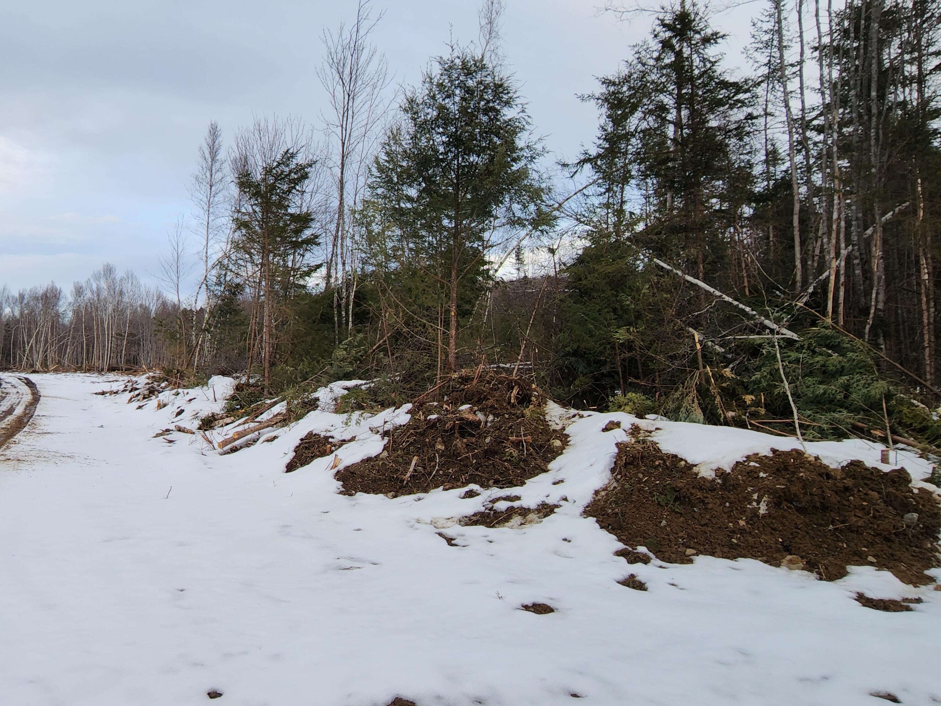 Lot 18 South Moores Road Springfield, ME 04487 - Photo 3 of 4 20230313_180409