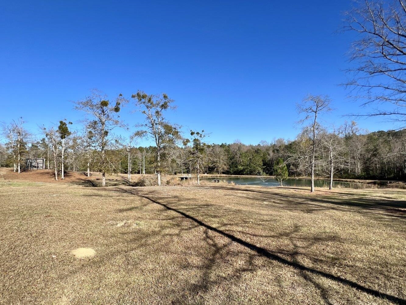 12340 Tall Pine Road Bay Minette, AL 36507 - Photo 22 of 50