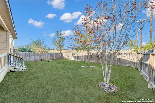 a view of a garden with a tree