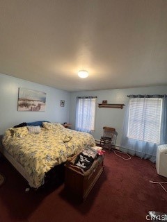 1076 Curtiss Road Camden, NY 13316 - Photo 18 of 25 Master bedroom