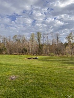1076 Curtiss Road Camden, NY 13316 - Photo 5 of 25