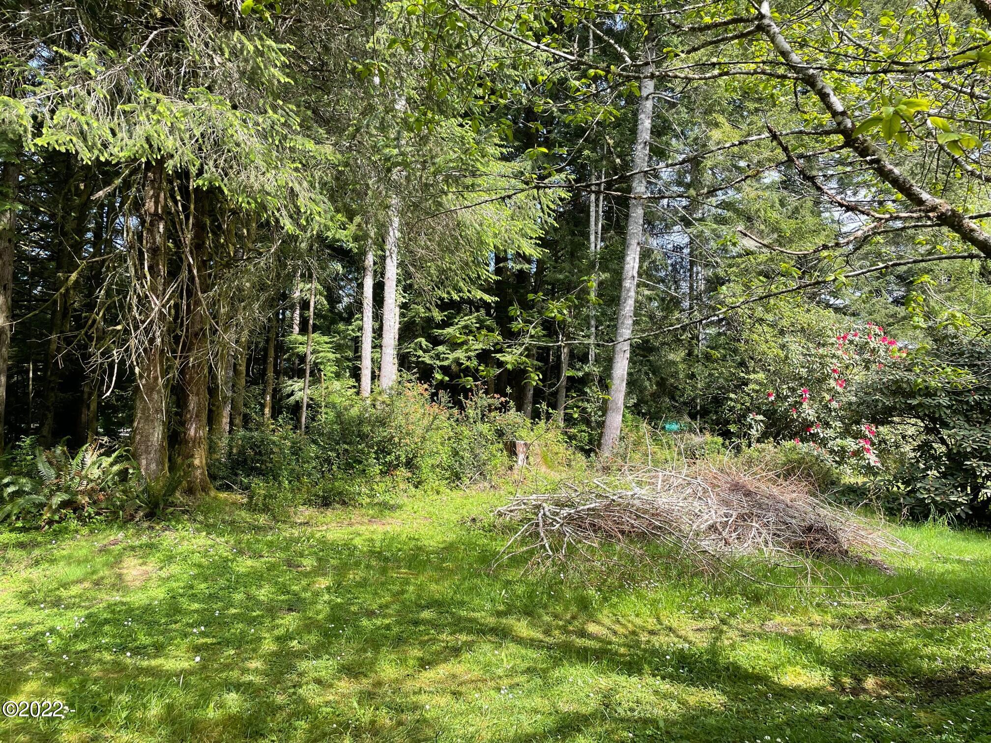 121 East Castle Road Waldport, OR 97394 - Photo 8 of 25 Meadow