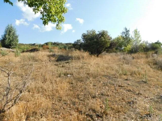 a view of a lake with a mountain in the background