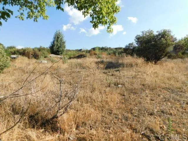 a view of a lake with lots of trees