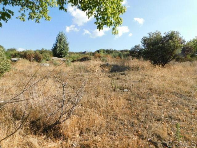 29949 Canadian Honker Road Campo, CA 91906 - Photo 4 of 7 a view of a lake with lots of trees