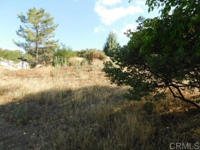 a view of lake with green space