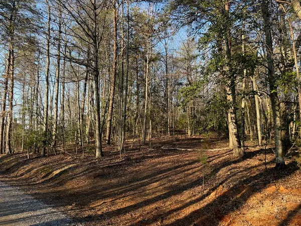 $31,950 | Lot 1 Willow Ridge, Warne, NC 28909