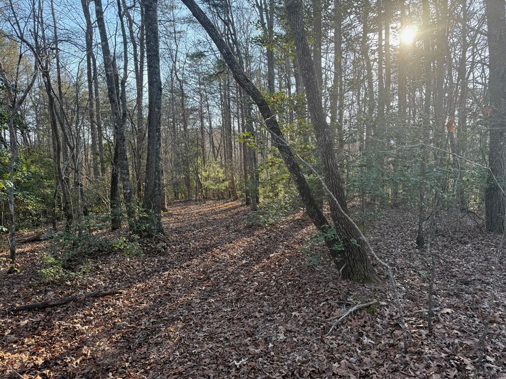 Lot 1 Willow Ridge Warne, NC 28909 - Photo 2 of 11