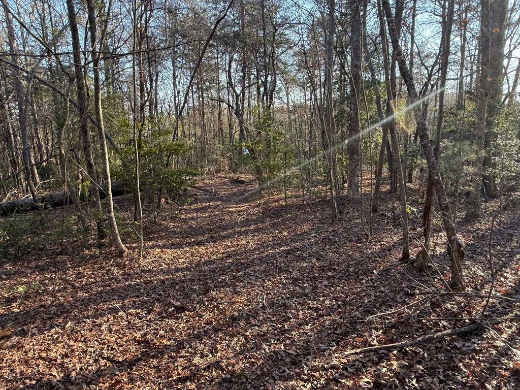 Lot 1 Willow Ridge Warne, NC 28909 - Photo 7 of 11