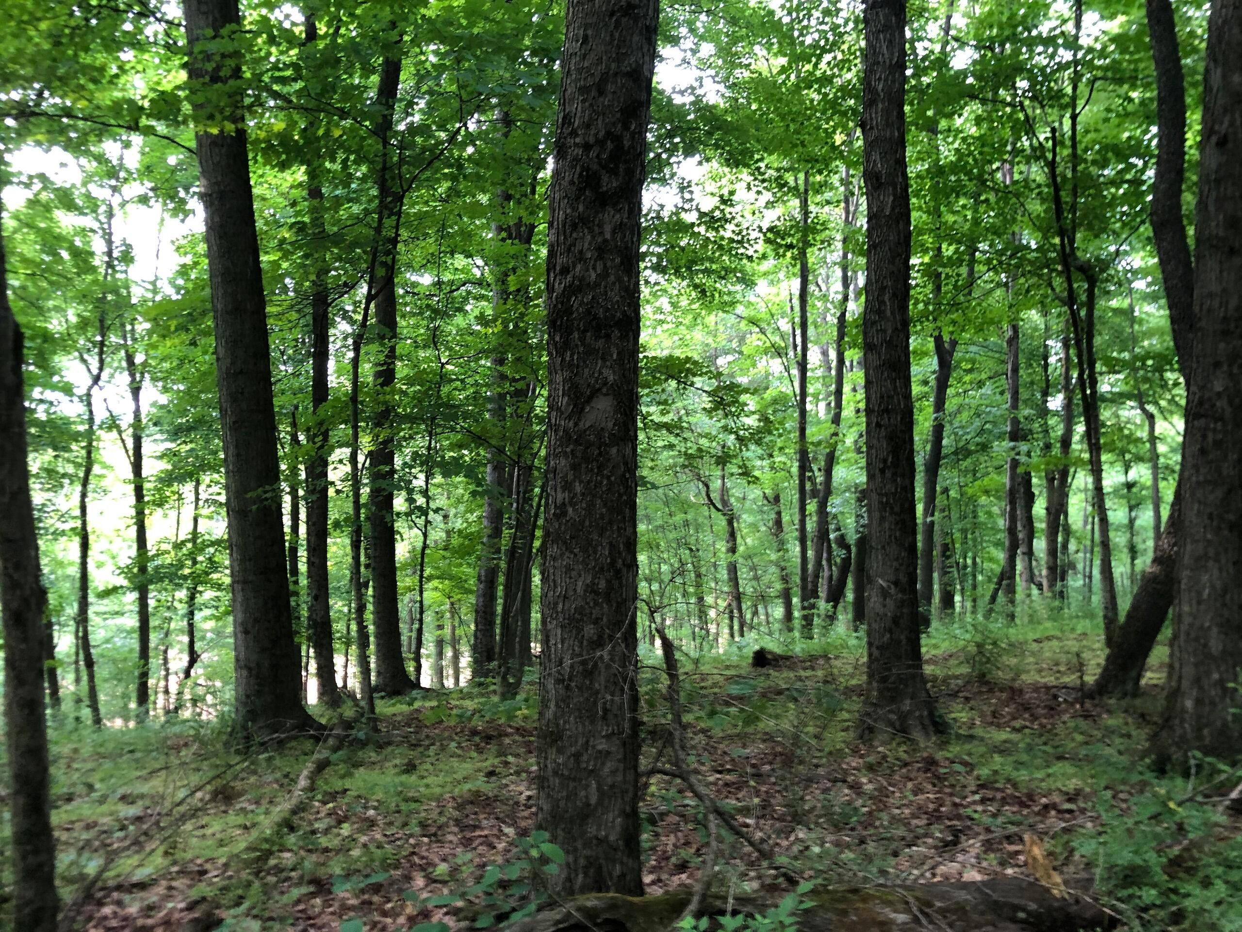 0 Marne Road Newark, OH 43055 - Photo 16 of 21