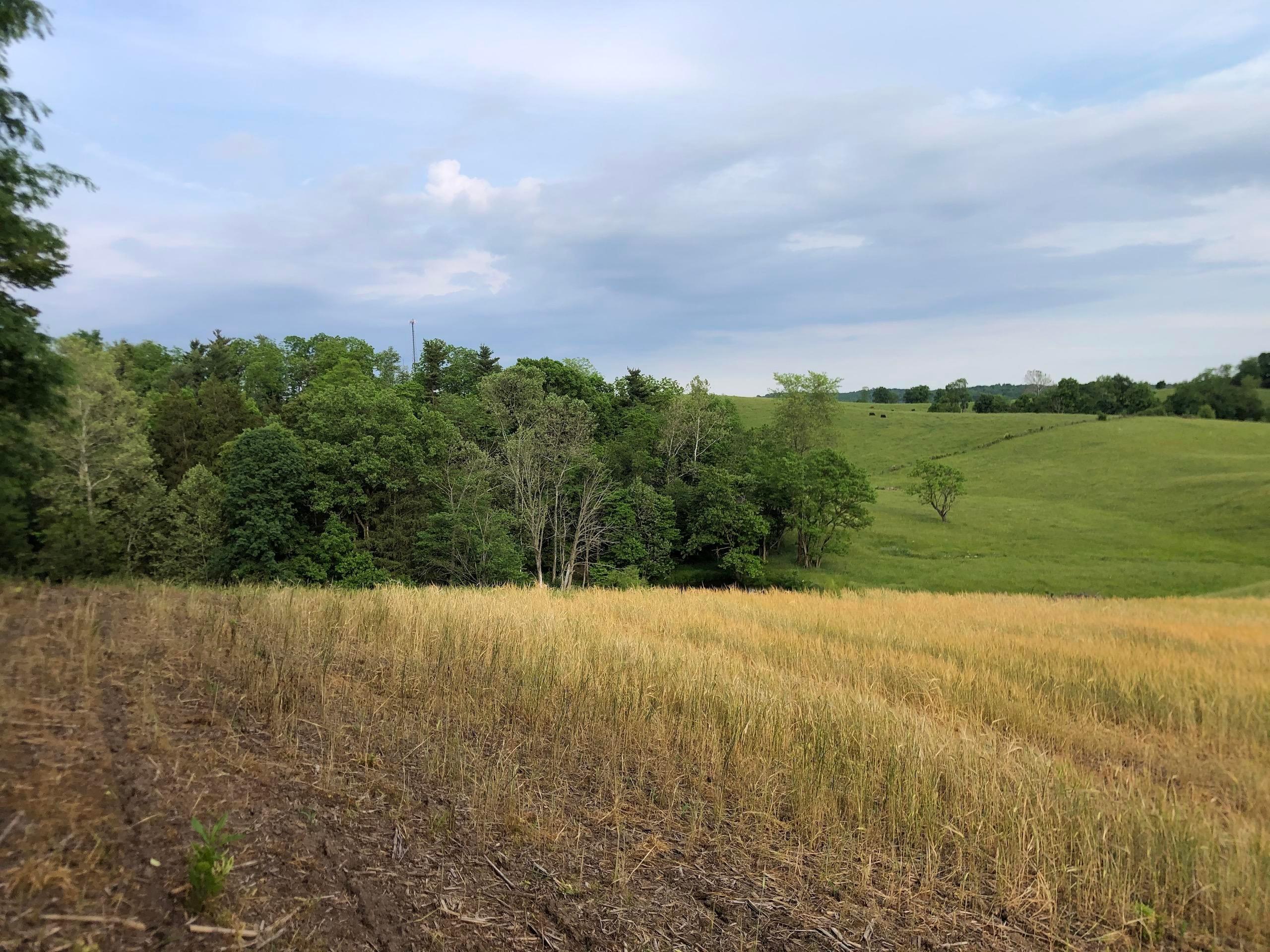 0 Marne Road Newark, OH 43055 - Photo 5 of 21