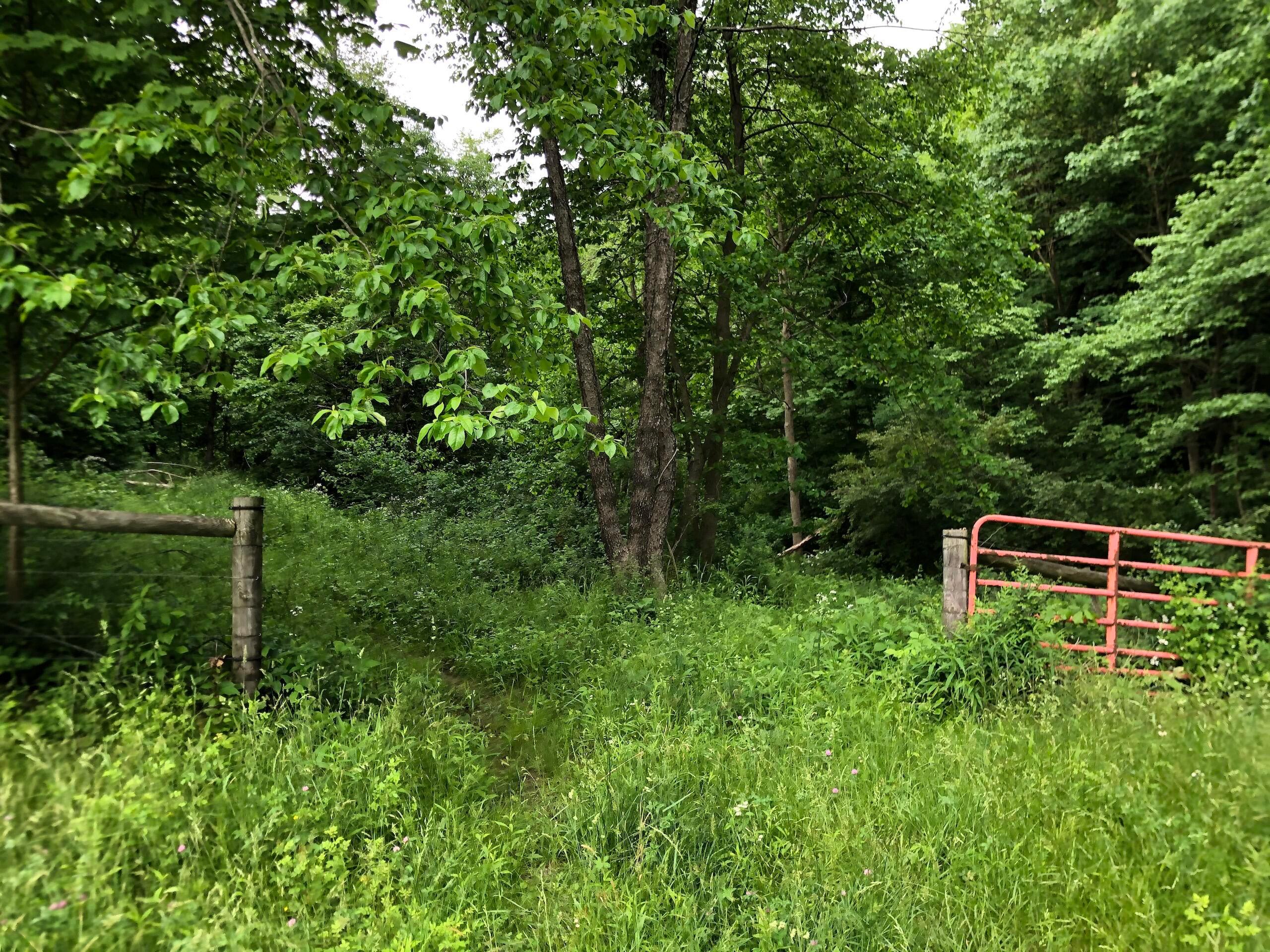 0 Marne Road Newark, OH 43055 - Photo 8 of 21