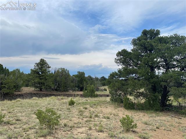 Lot #93 Rancho Verde Road Trinidad, CO 81082 - Photo 5 of 19 Gallery Image 5