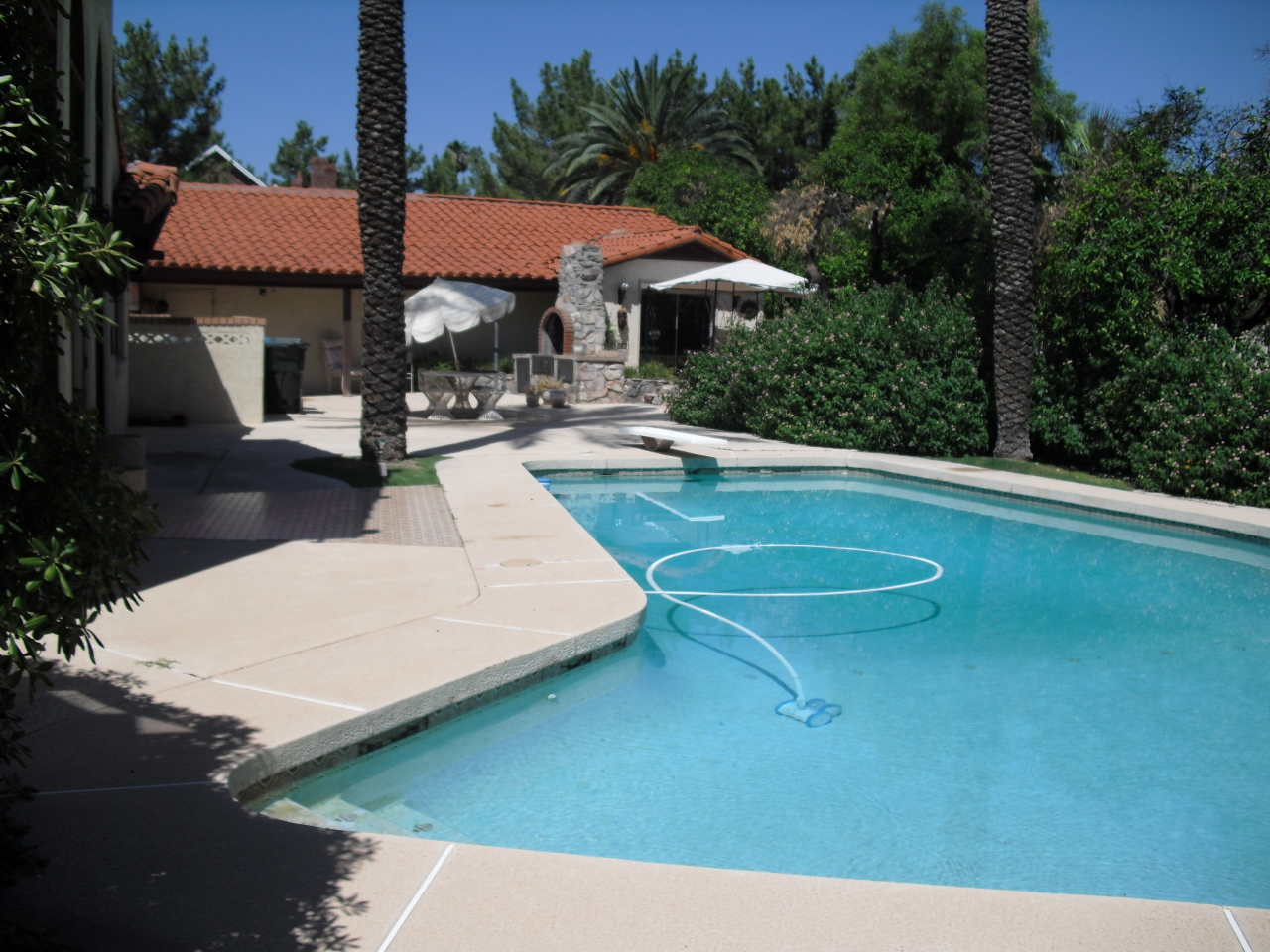5402 East Exeter Boulevard Phoenix, AZ 85018 - Photo 12 of 12 Pool 1