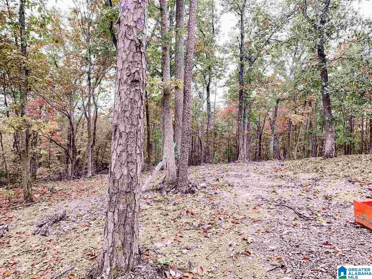 281 Colvin Springs Road Ashville, AL 35953 - Photo 8 of 34