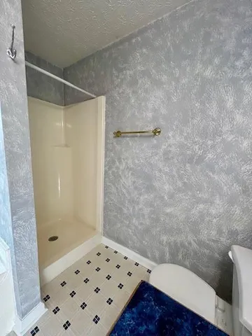 a bathroom with a shower and a toilet