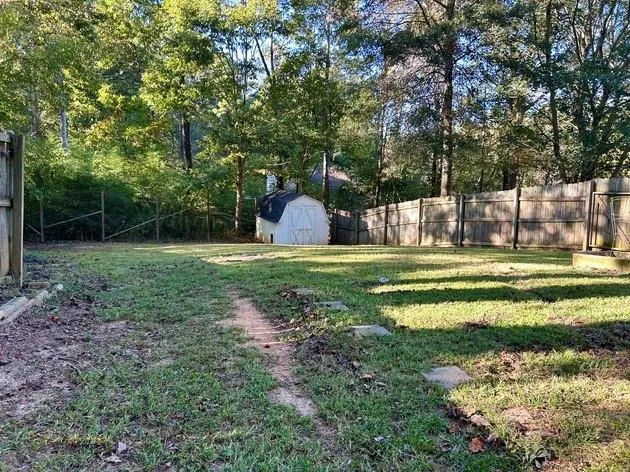 a view of a park with large trees