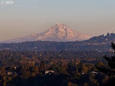 8674 Southwest 168th Avenue Beaverton, OR 97007 - Photo 7 of 40